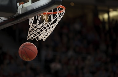 金州勇士对阵洛杉矶湖人2026年NBA比赛数据统计图表 - 投篮命中率与得分分布